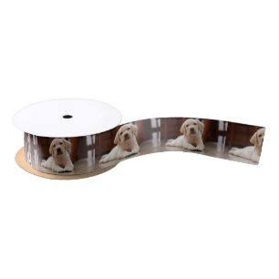 Ruban En Satin Chiot jaune de Labrador de bébé s'étendant sur 