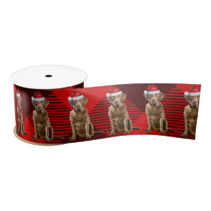 Ruban En Satin Christmas Chesapeake Bay Retriever Rouge Plaid