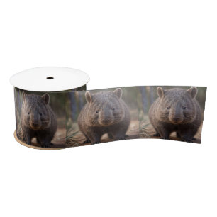 Ruban En Satin Chubby The Australian Wombat,