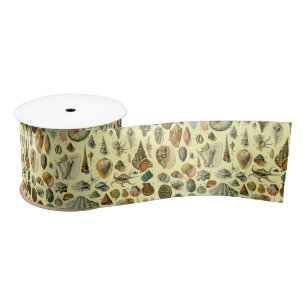 Ruban En Satin Coquillages de coquillages Mollusk Clam Élégant Ar