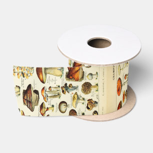 Ruban En Satin Cottagecore Champignons Naturaliste Vintage