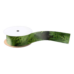 Ruban En Satin Cypress