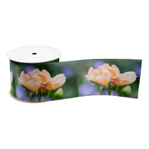 Ruban En Satin désir