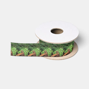 Ruban En Satin Écureuil de Camo