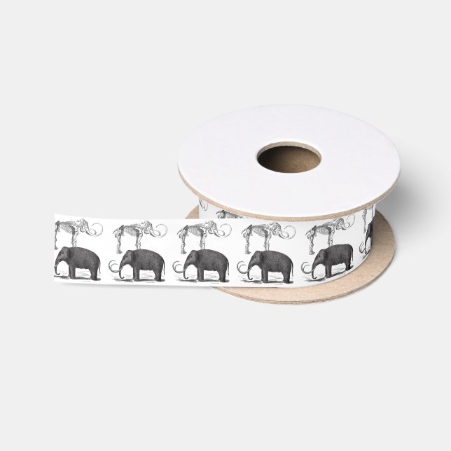 Ruban En Satin Éléphant préhistorique et squelette de mammouth (Bobine)