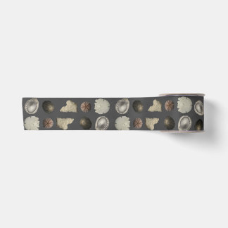 Ruban En Satin Extravaganza de coquillages