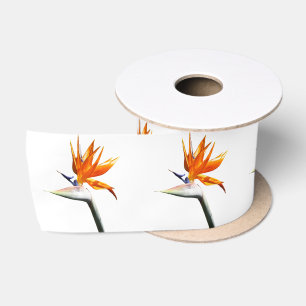 Ruban En Satin Fleur tropicale orange oiseau de paradis