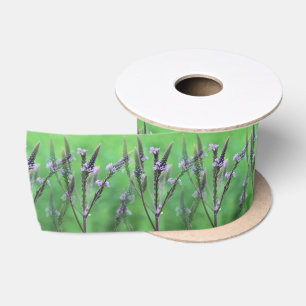 Ruban En Satin Fleurs violettes Vervain Multipliées