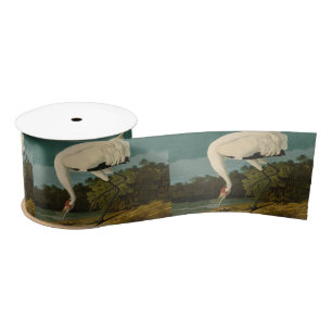 Ruban En Satin Grue blanche Audubon Peinture d'oiseaux