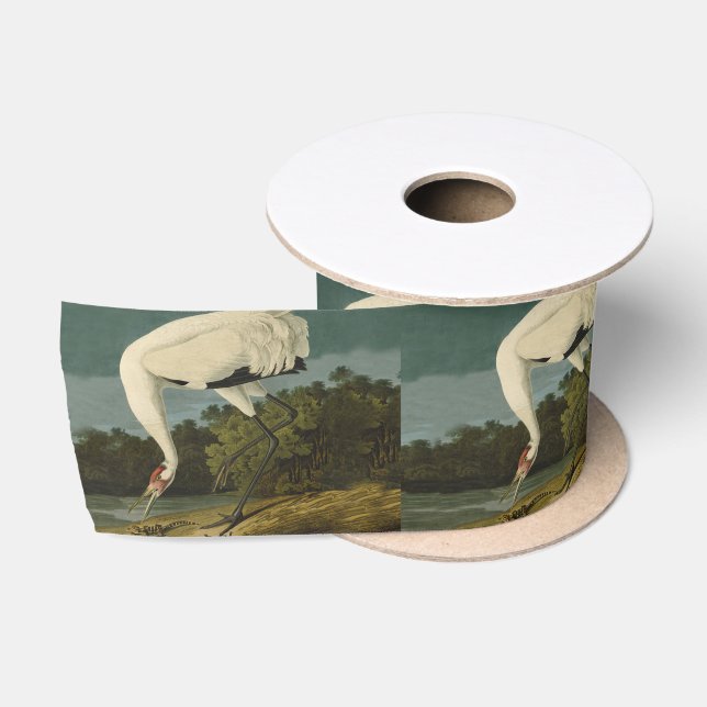 Ruban En Satin Grue blanche Audubon Peinture d'oiseaux (Bobine)