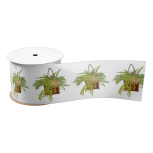 Ruban En Satin Illustration botanique d'une plante grimpante de l