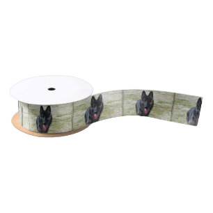 Ruban En Satin Jeune berger allemand