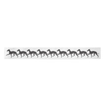 Marche italienne Greyhound