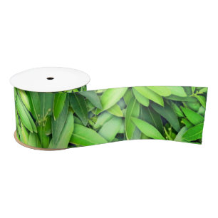 Ruban En Satin Motif Feuille verdoyant - Nature Botanique
