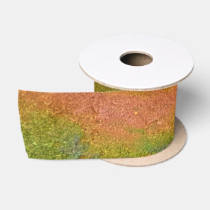 Ruban En Satin Nappe de pétrole arc-en-ciel iridescent coloré