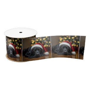 Ruban En Satin Noir dormant Noir Labrador Retriers