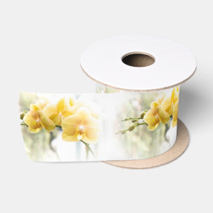 Ruban En Satin Orchidée à papillon jaune sous le soleil