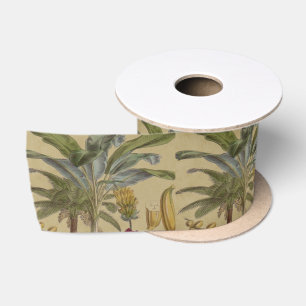 Ruban En Satin Palm Antique Fruit Tropical Art Botanique