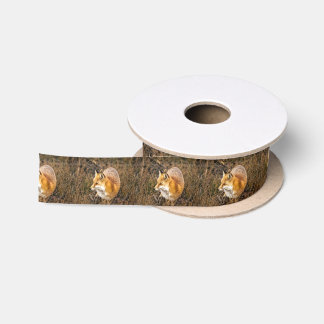 Ruban En Satin papier d'emballage de renard, enveloppe de cadeau