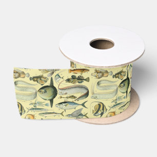 Ruban En Satin Pêche scientifique vintage