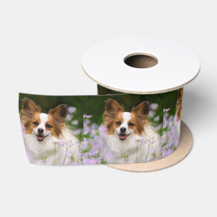 Ruban En Satin Photo animale de portrait romantique mignon de