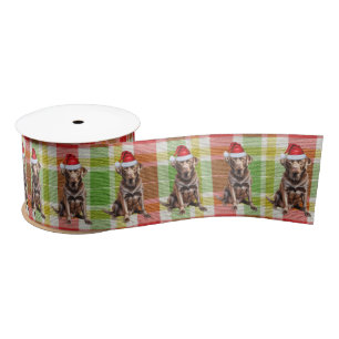 Ruban En Satin Plaid Amoureux des chiens Funny Chocolat Labrador 