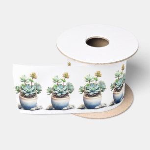 Ruban En Satin Plantes Succulents Pots