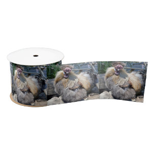 Ruban En Satin Poulet moche, Ruban satiné