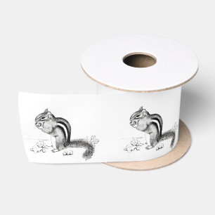 Ruban En Satin ruban de chipmunk