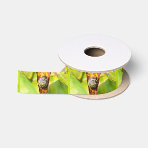 Ruban En Satin serrure fixation ruban satin
