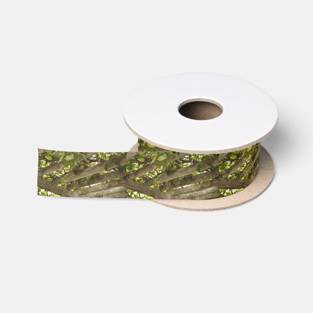 Ruban En Satin Sous un auvent des raisins (Bobine)