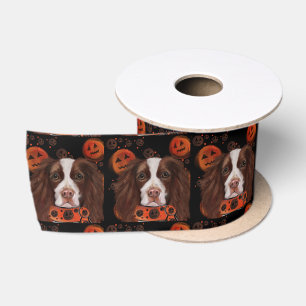 Ruban En Satin Springer Spaniel Anglais