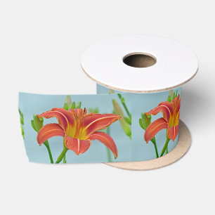 Ruban En Satin Tiger Daylily