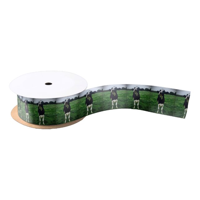 Ruban En Satin Veau mignon d'animal de ferme de vache (Bobine)