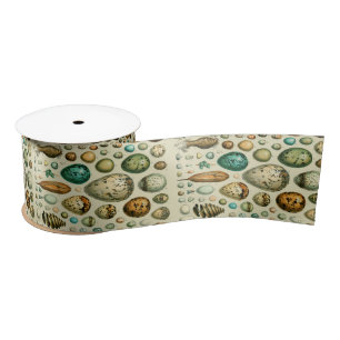 Ruban En Satin Vintage Bird Eggs French Fish Egg
