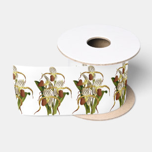 Ruban En Satin Vintage Cypripedium Stonei Orchid Flower
