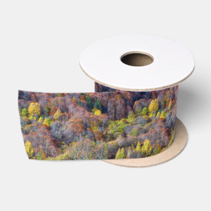 Ruban En Satin Vue aérienne de la forêt d'automne Arbres colorés