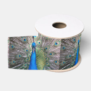 Ruban Gros-grain 020 Ruban Peacock