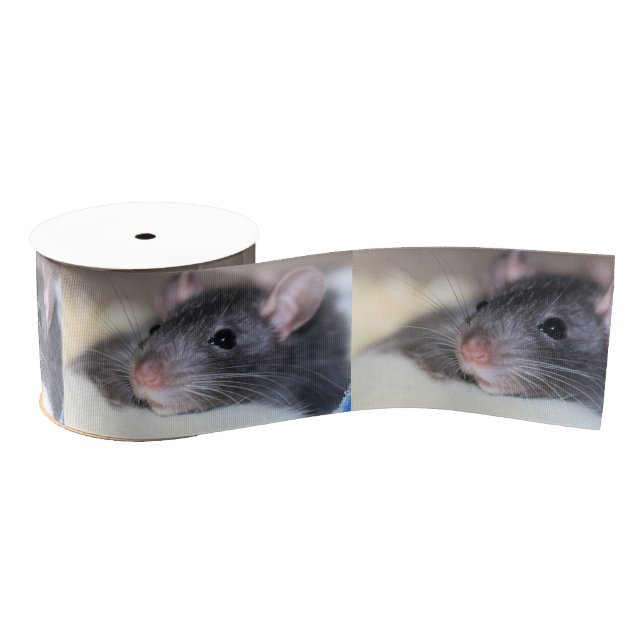 Ruban Gros-grain Adorable (Bobine)
