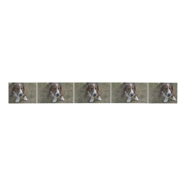 Ruban Gros-grain Basset Hound doux (Devant)