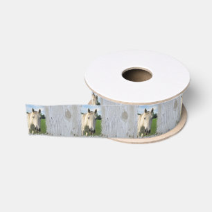 Ruban Gros-grain Cheval quart gris sur le conseil blanchi