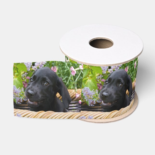 Ruban Gros-grain Cuisine Black Labrador Retriever Chien Chiot Chiot (Bobine)