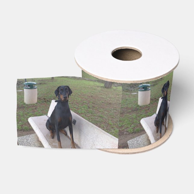 Ruban Gros-grain doberman pinting (Bobine)