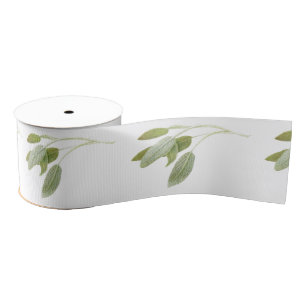 Ruban Gros-grain ÉCHANTILLONNAGE DE 3" GRAND ruban