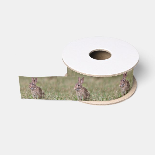 Ruban Gros-grain Lapin de lapin (Bobine)