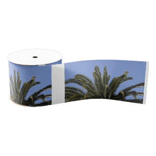 Ruban Gros-grain Palm Tree Blue Sky Tropical