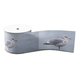 Ruban Gros-grain Seagull Photo Ribbon
