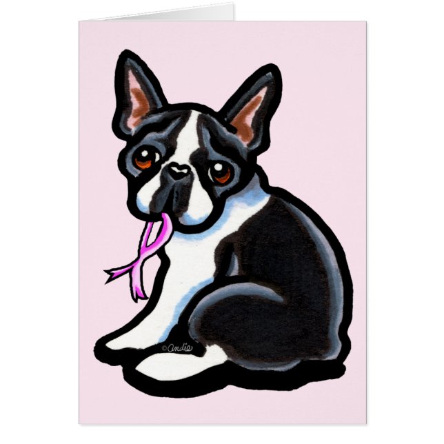 Ruban rose Boston (Devant)