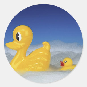 Rubber Duck Family Classic Round Sticker