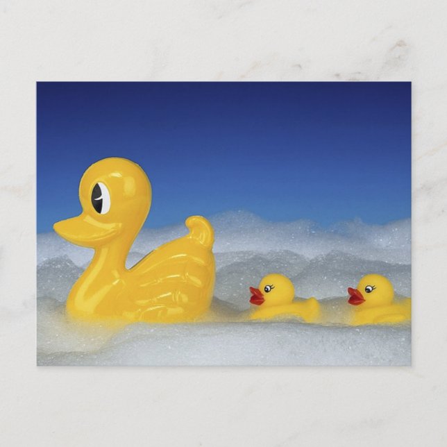 Rubber Duck Family Postcard (Front)